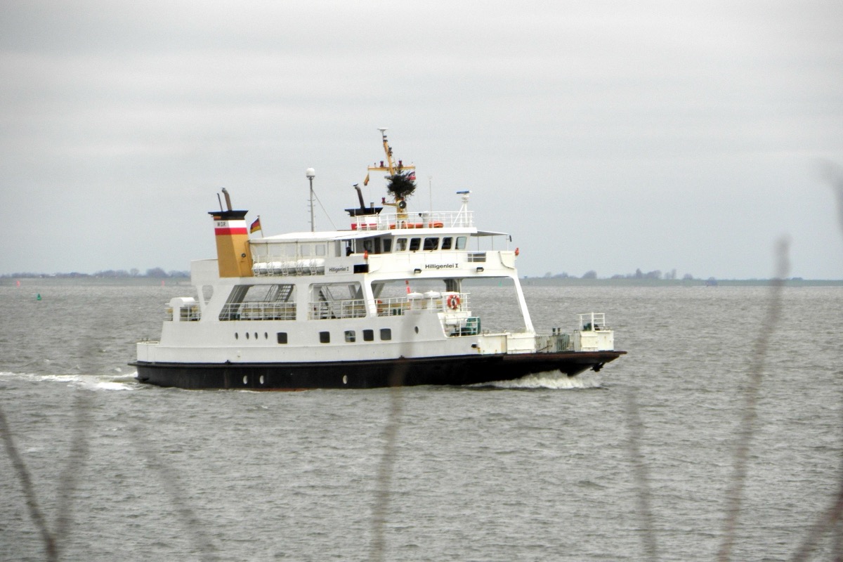 Föhr