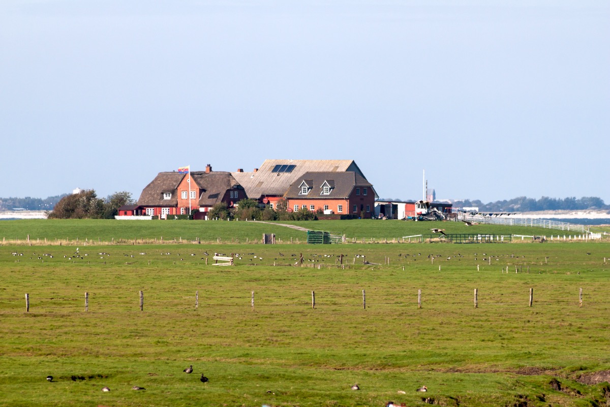 Langeneß